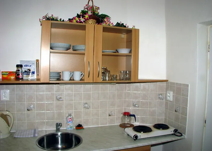 Apartmán U Muzea *