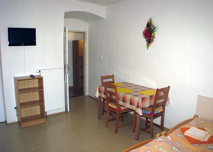 Apartmán U Muzea